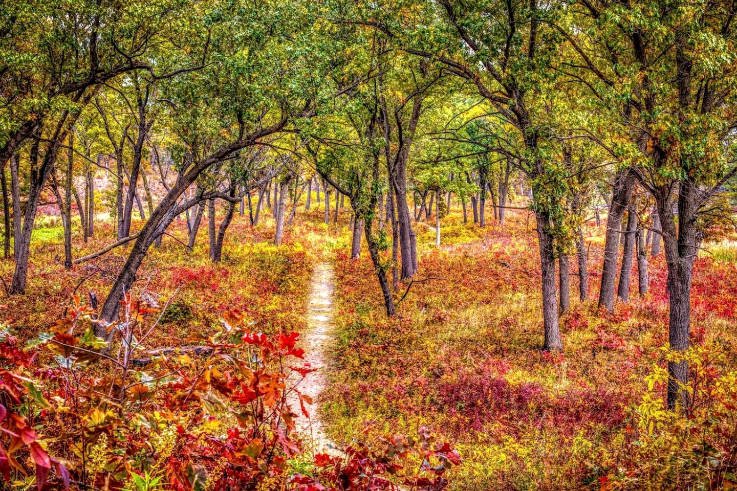 Charming Cozy Cabin with Hot-tub in Gary, Indiana
