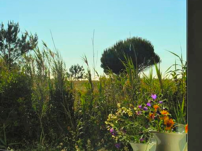 Cottages (Setubal, Lisbon District, Portugal)