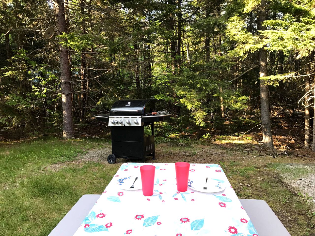 Charming Family-Friendly Cabin near Acadia National Park in Southwest Harbor, Maine