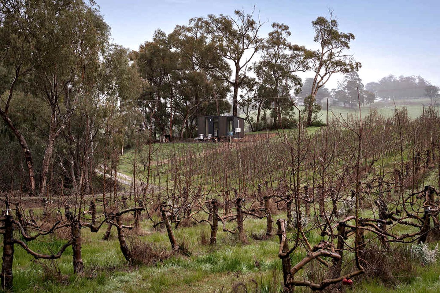 Charming Farm Stay Tiny Home with Apple Orchard & Dam Views near Adelaide in Lenswood, South Australia