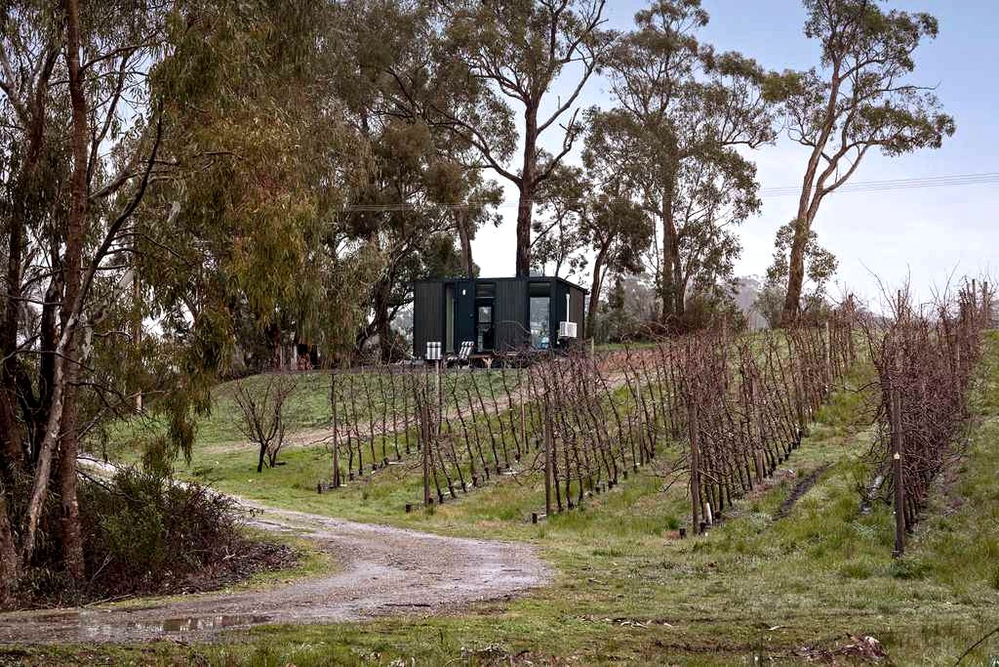 Charming Farm Stay Tiny Home with Apple Orchard & Dam Views near Adelaide in Lenswood, South Australia