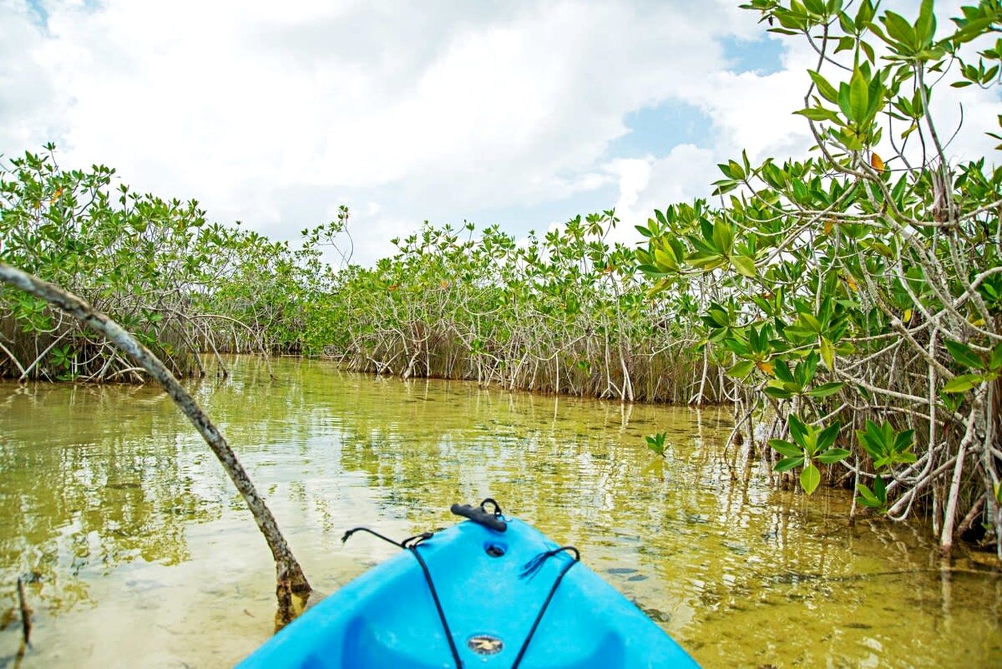 Charming All Inclusive Cabin Placed Between Trees in Chetumal, Quintana Roo