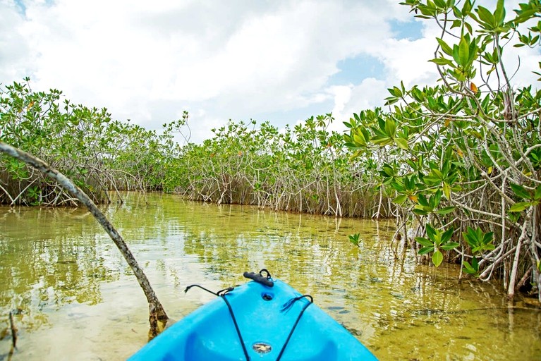 Cabins (Mexico, Chetumal, Quintana Roo)