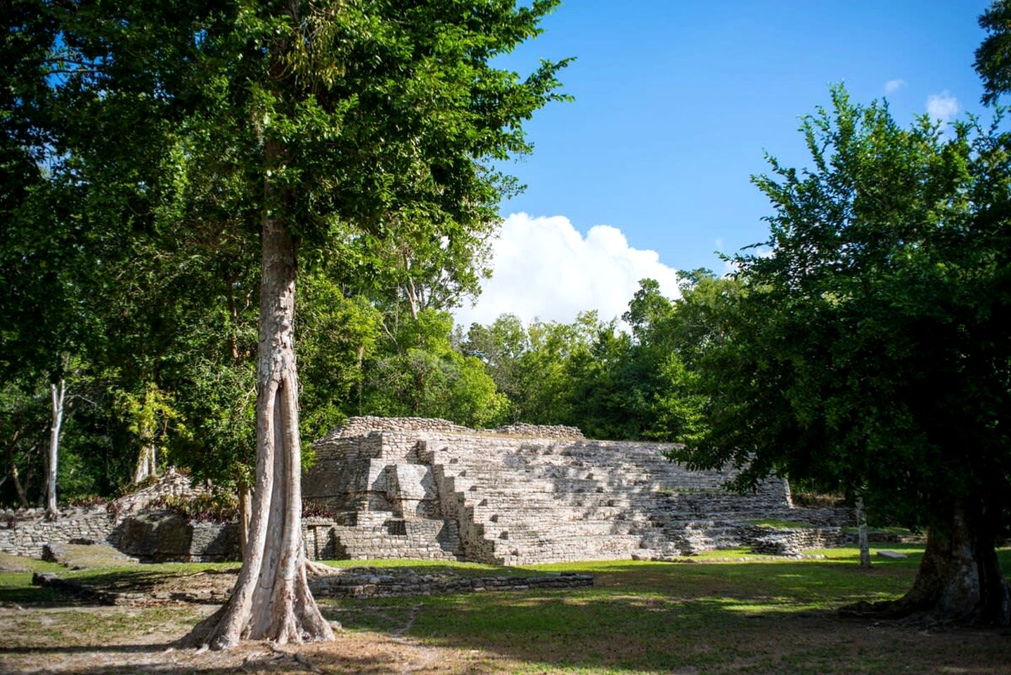 Charming All Inclusive Cabin Placed Between Trees in Chetumal, Quintana Roo