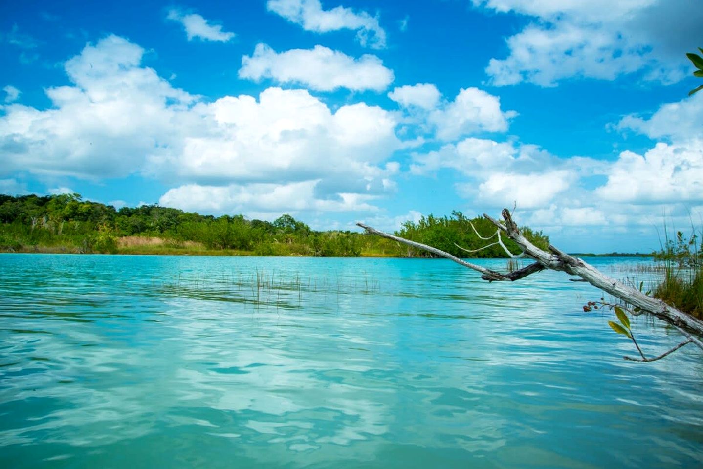 Charming All Inclusive Cabin Placed Between Trees in Chetumal, Quintana Roo