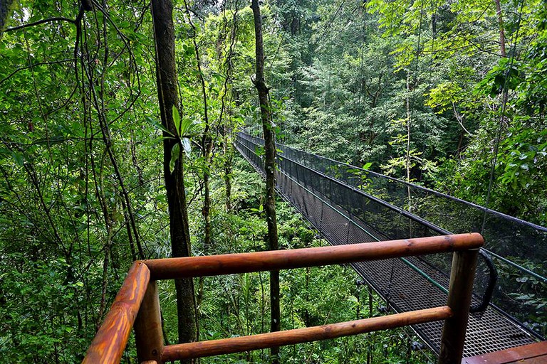 Nature Lodges (Puerto Jiménez, Puntarenas, Costa Rica)