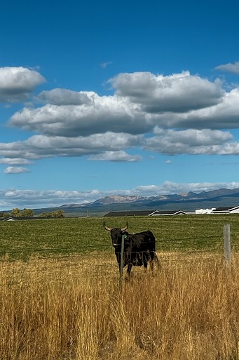 Caravans (United States of America, Tetonia, Idaho)