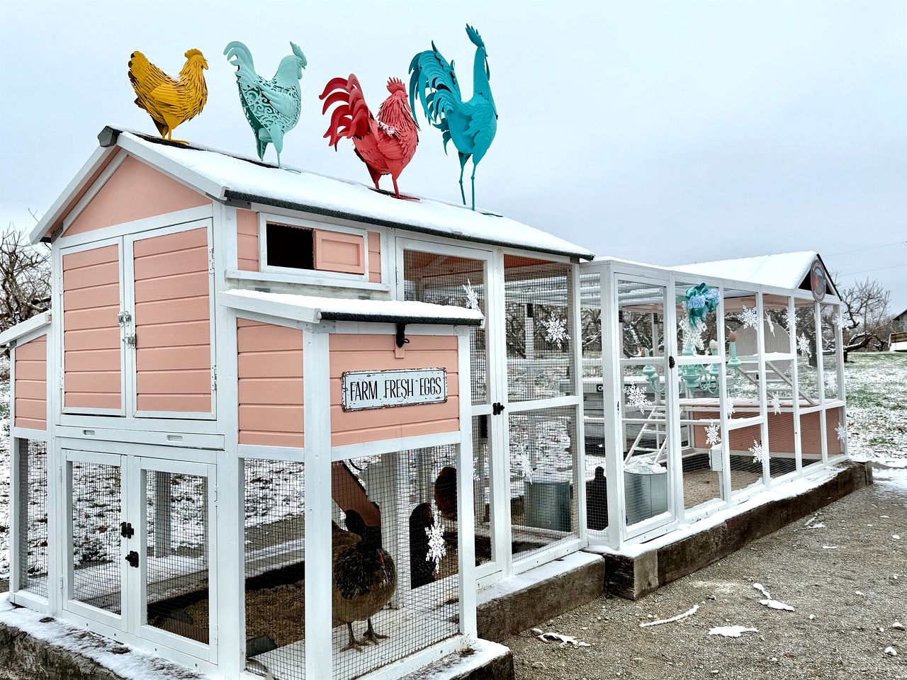 Charming Historic Farm Cottage on 800-Acre Orchard Near Shawnee Wine Trail | Alto Pass, Illinois