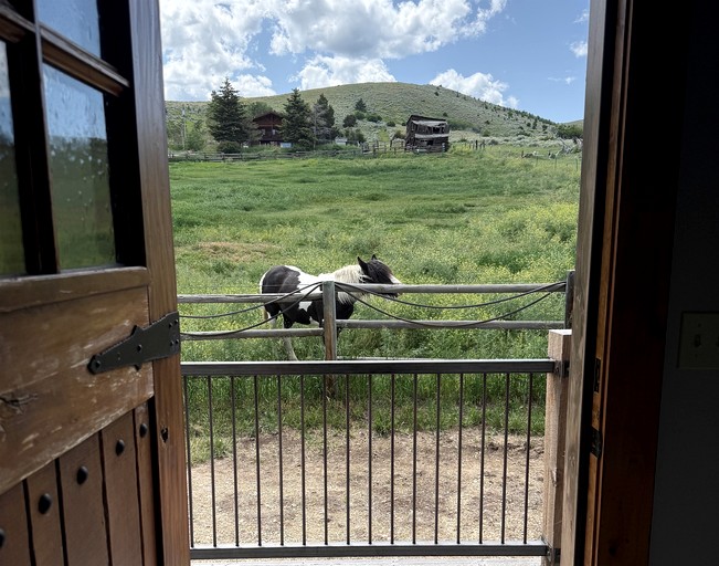 Vacation Rentals (United States of America, Pony, Montana)