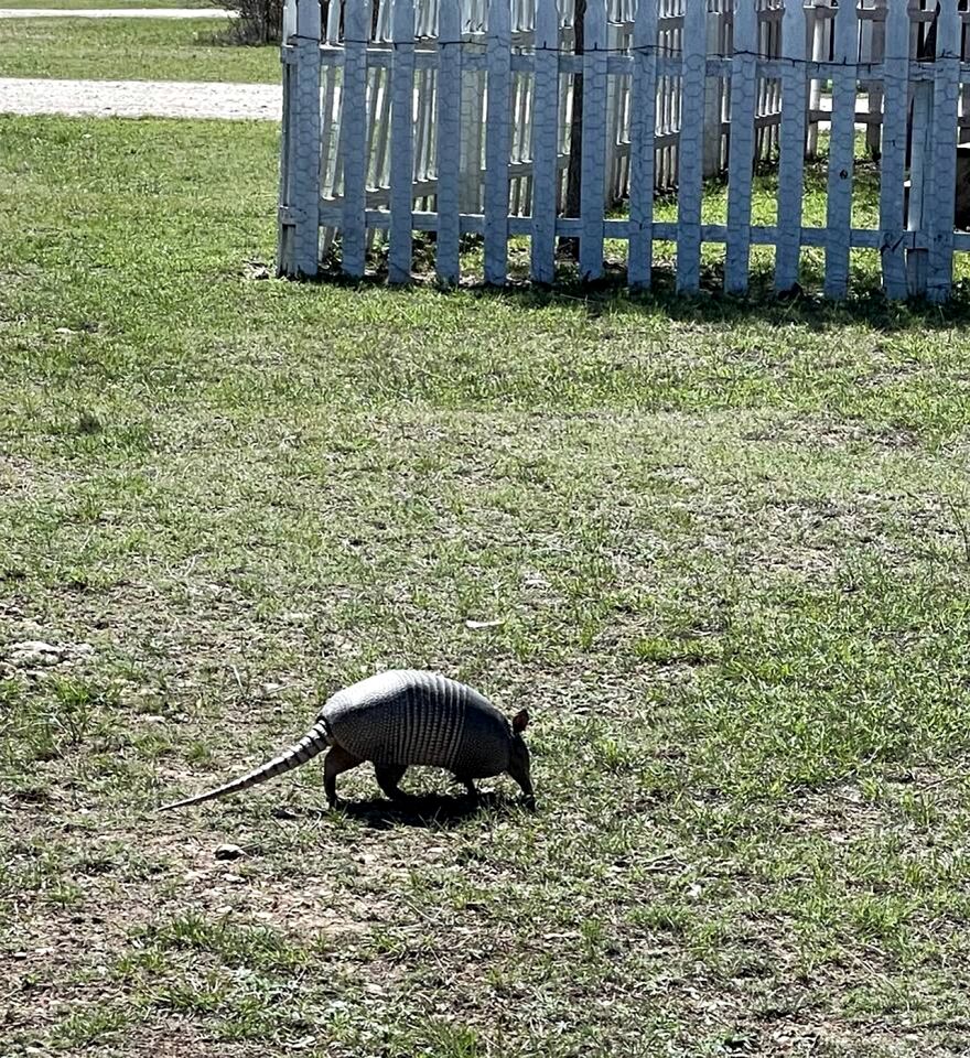 Charming King-Size Cabin with Wi-Fi and Deck in Fredericksburg, Texas