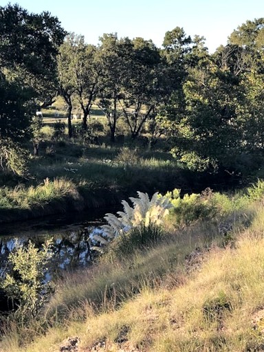 Cabins (United States of America, Fredericksburg, Texas)