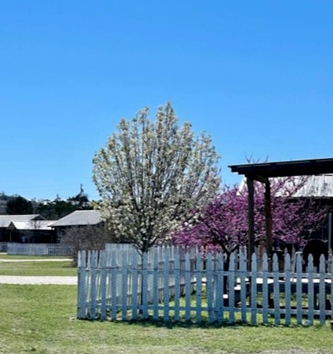 Cabins (United States of America, Fredericksburg, Texas)