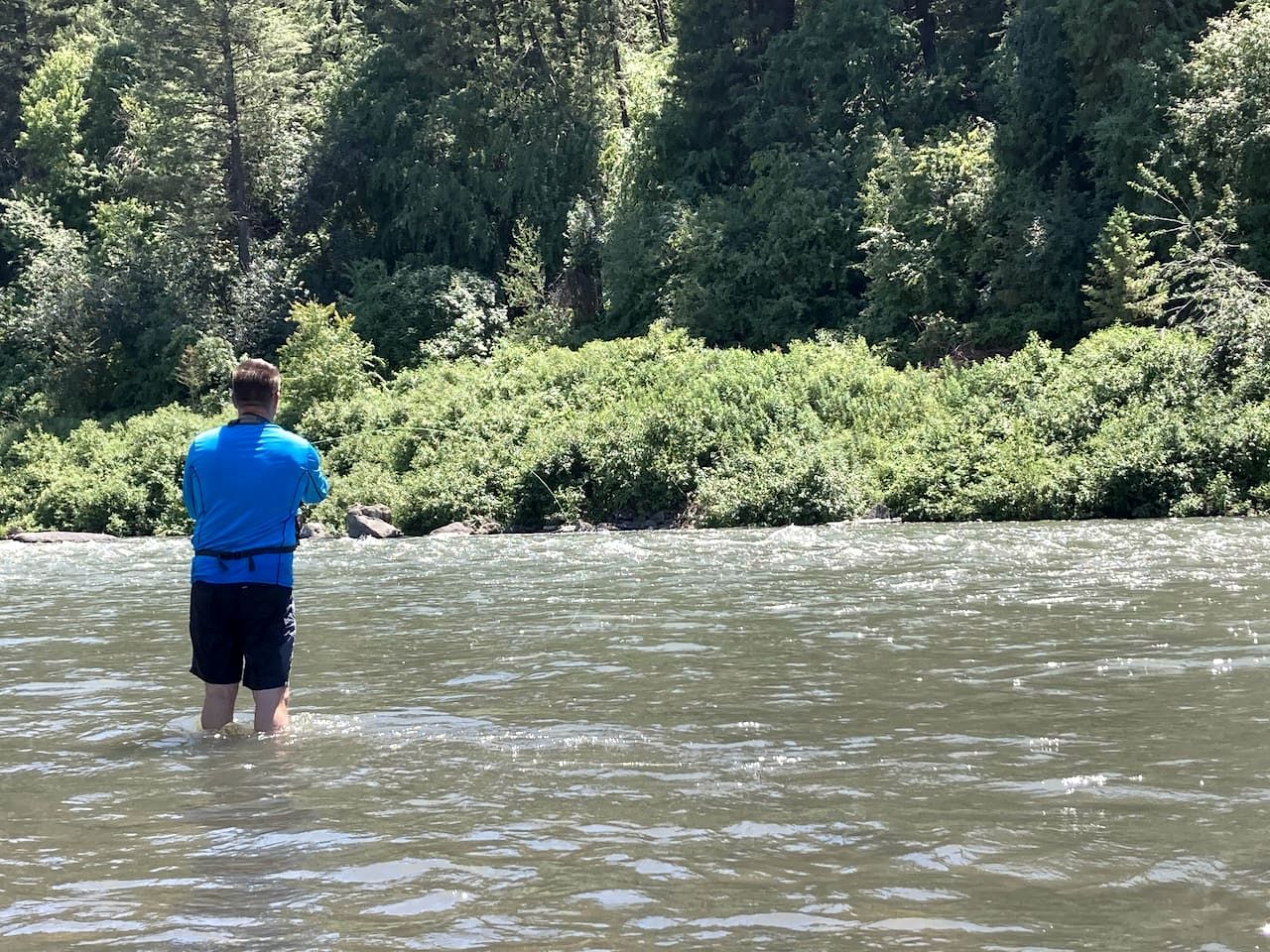Cozy Rustic Log Cabin with Trails & Wildlife Near Yellowstone, Island Park Idaho