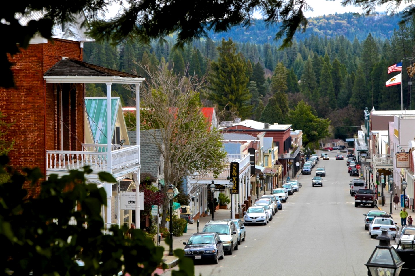 Cabin Rental in Nevada City