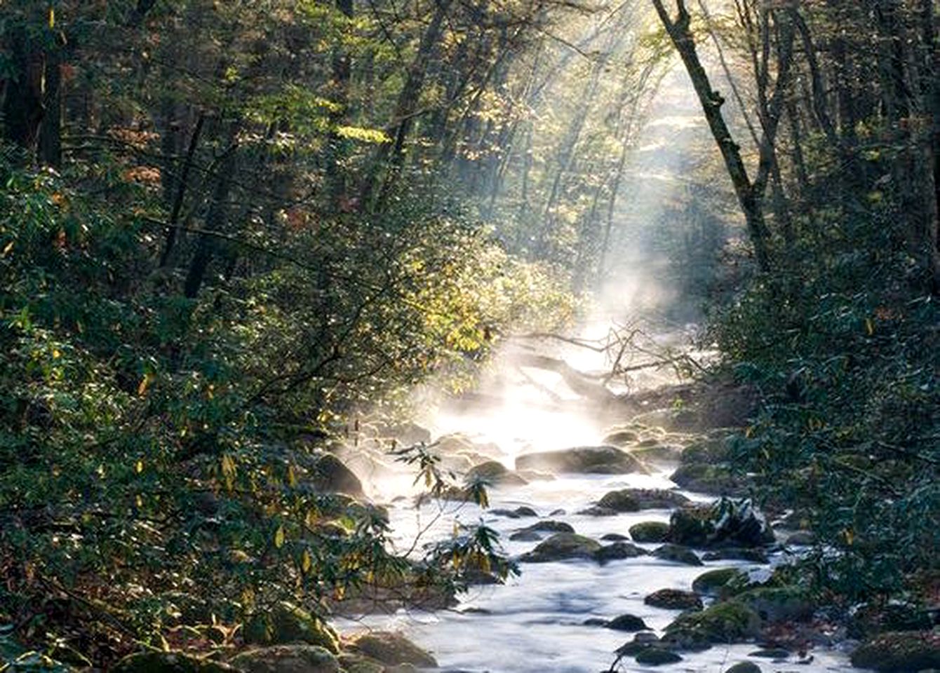 Charming Mountain Cabin near Ski and Golf Resorts, Pennsylvania