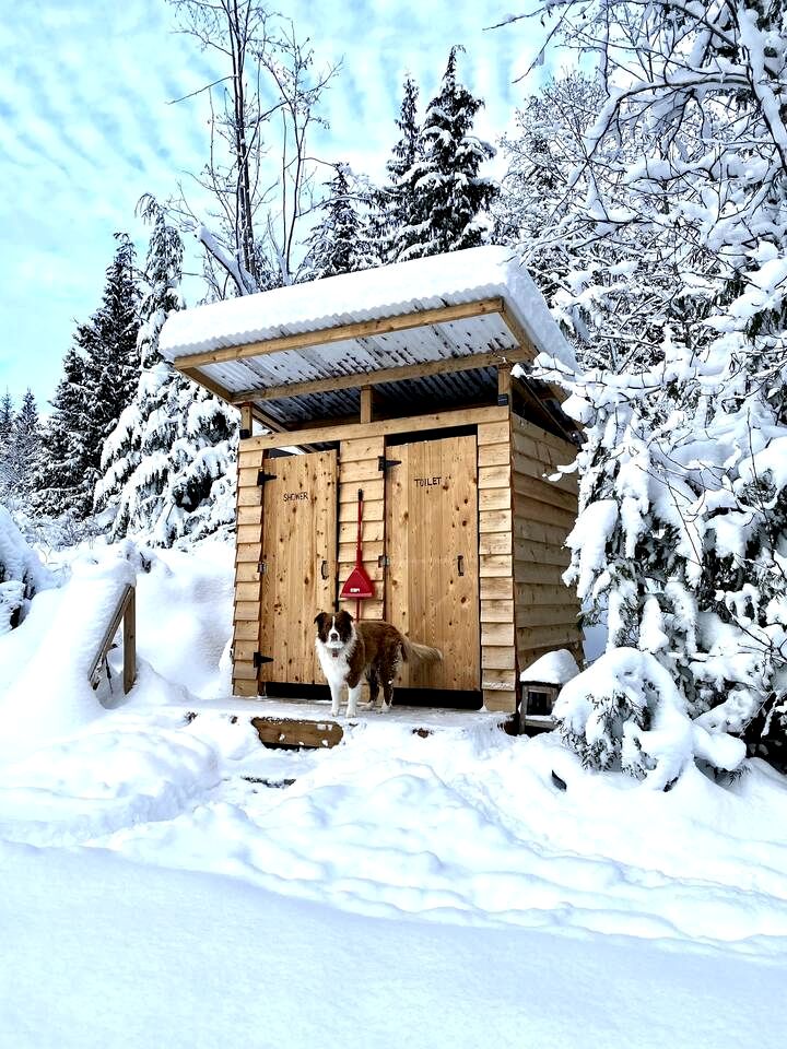 Charming, Rustic Cabin with Loft and Kitchenette, Nestled in the Wilderness of Halfmoon Bay, BC