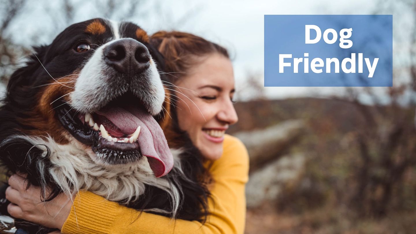 Charming Dog-Friendly Cabin with Hot Tub and Fire Pit - Pond Access Makes This the Perfect Cabin for Your Fishing Getaway in Berkeley Springs, WV