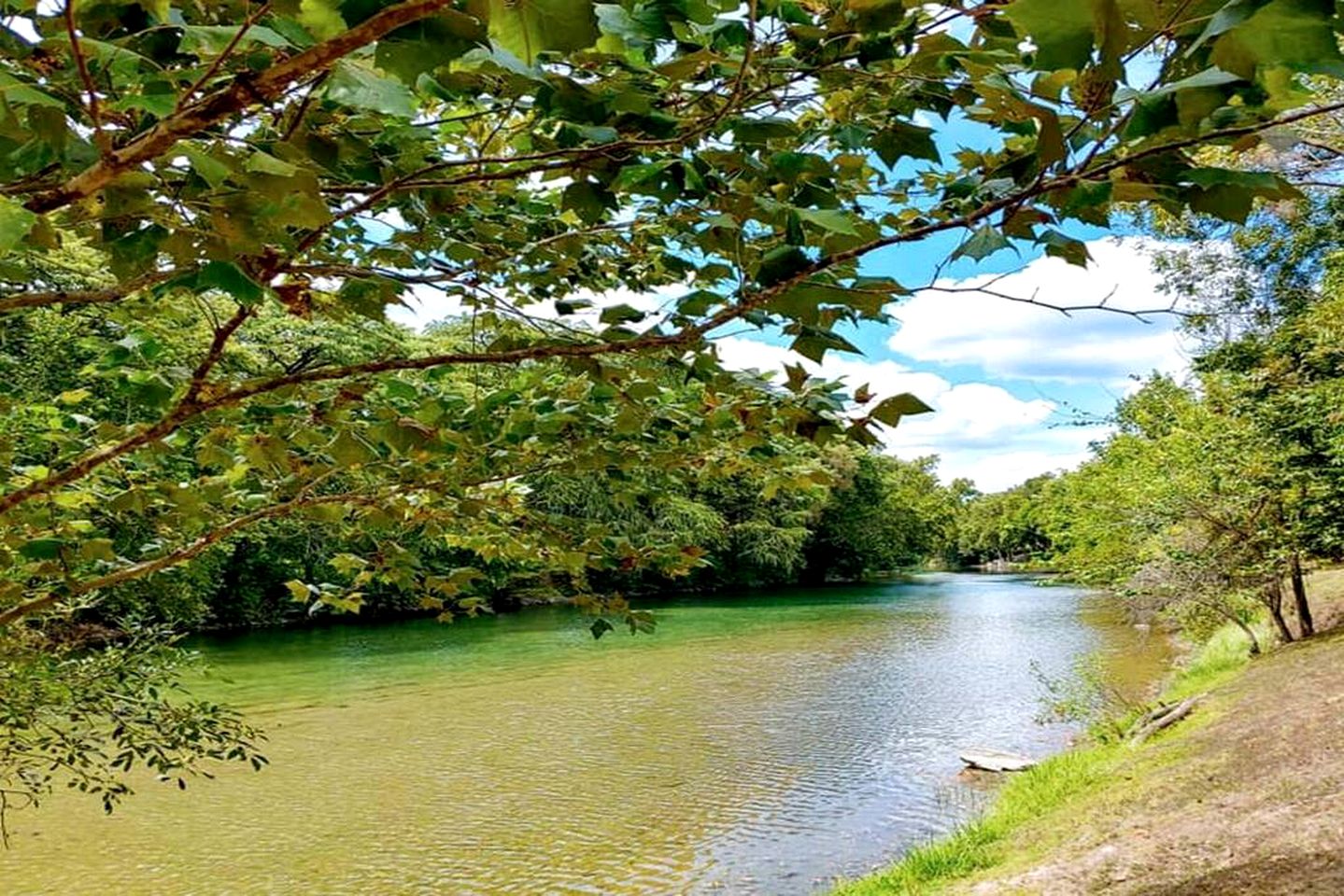 Charming Pet-Friendly Cabin with Access to Guadalupe River for Dreamy Texas Vacations