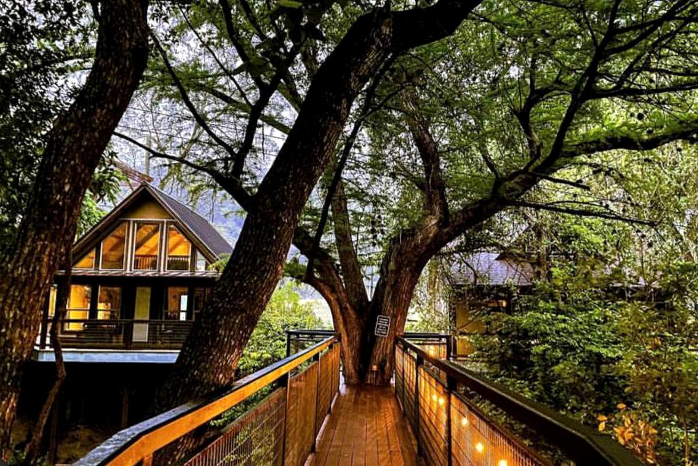 Charming Pet-Friendly Cabin with Access to Guadalupe River for Dreamy Texas Vacations