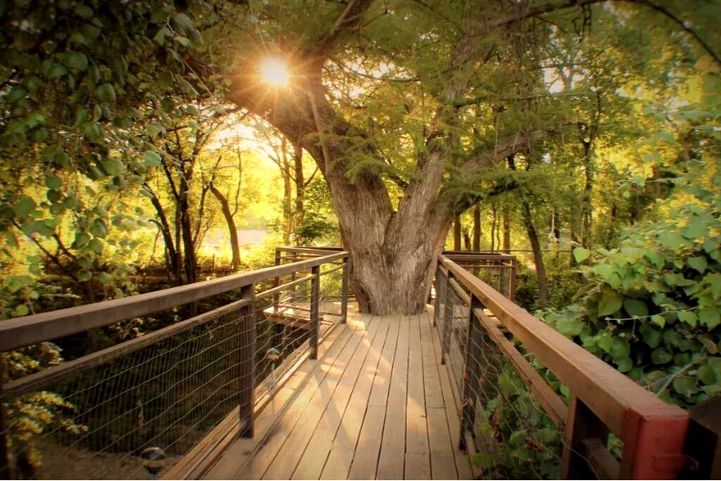 Charming Pet-Friendly Cabin with Access to Guadalupe River for Dreamy Texas Vacations