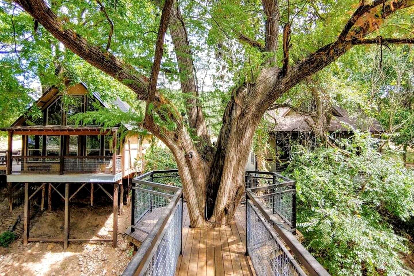 Charming Pet-Friendly Cabin with Access to Guadalupe River for Dreamy Texas Vacations