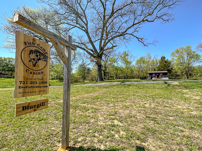 Cabins (United States of America, Eva, Tennessee)