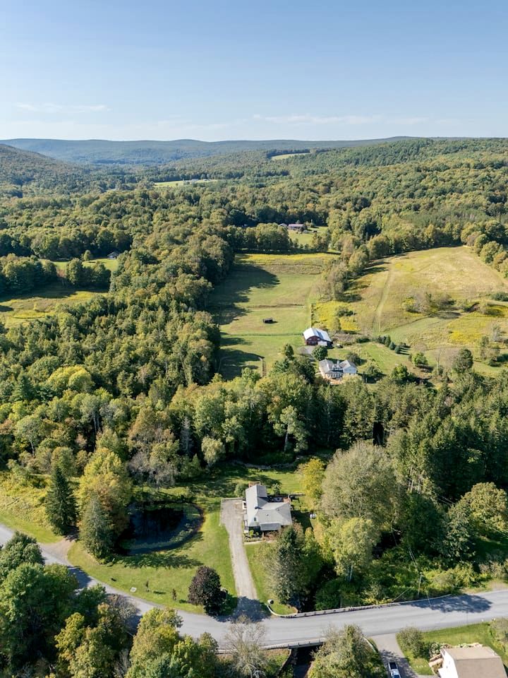 Charming Pet-Friendly Getaway with Deck & Nature Views in East Meredith, New York