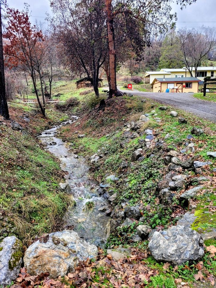 Charming, Pet-friendly Glamping Vacation Rental in Northern California