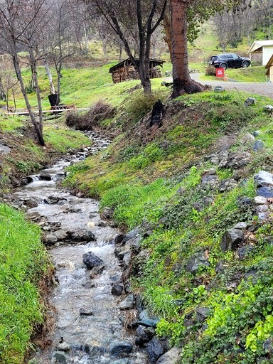 Cottages (United States of America, Big Flat, California)