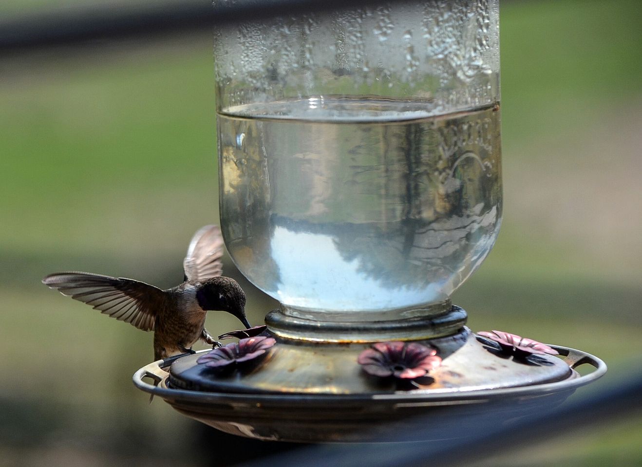 Charming Pet-Friendly Hill Country Cabin with Dark-Sky Stargazing near Mountain Home, Texas