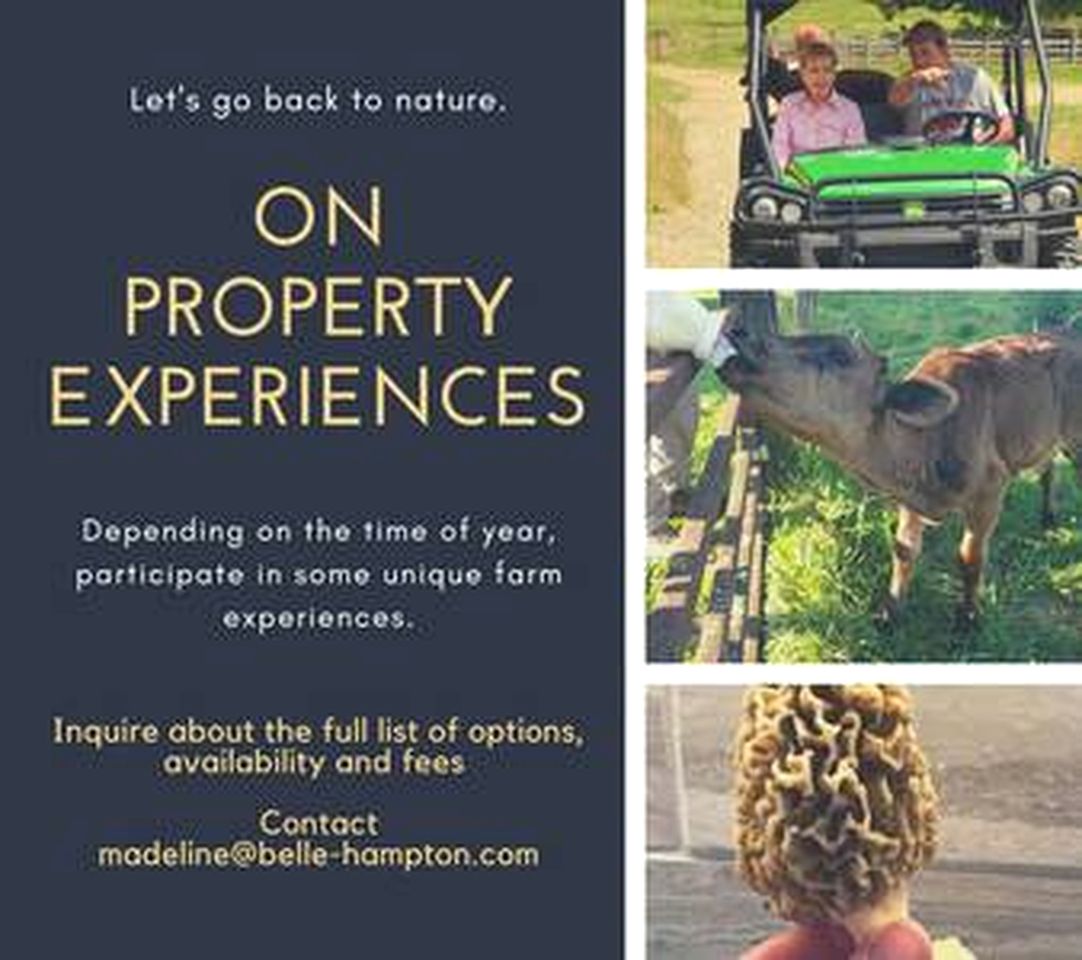 Charming Retreat: Pet-Friendly Classic Rental for Outdoor Activities in Pulaski County, VA