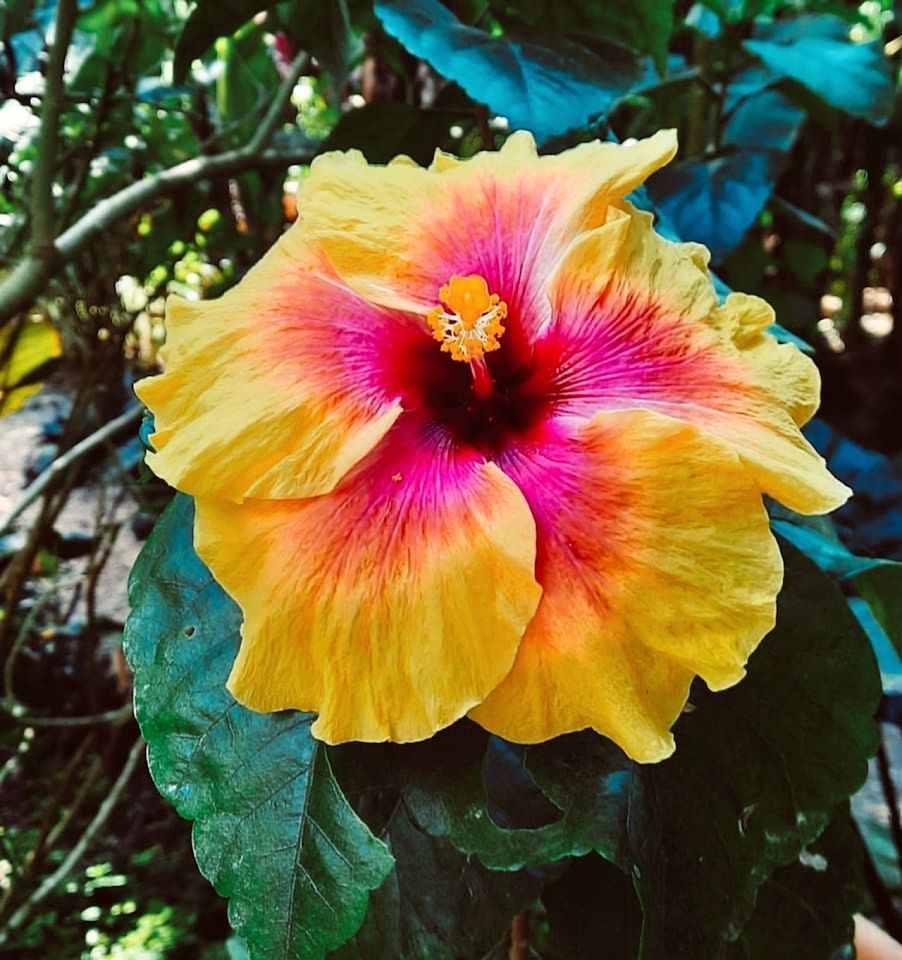 Alma Del Rio Entire Compound in Cristo Rey, Cayo District