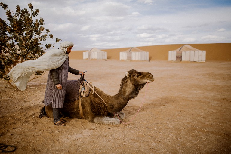 Safari Tents (M'hamid, Drâa-Tafilalet Region, Morocco)