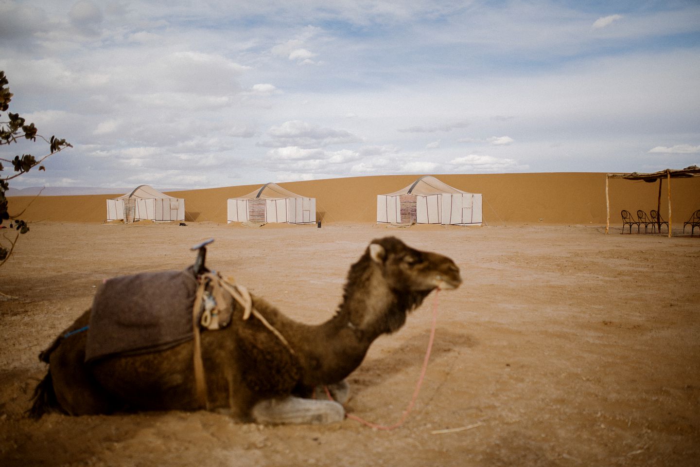 Charming Safari Tent for a Luxury Camping Getaway near Draa Valley, Morocco