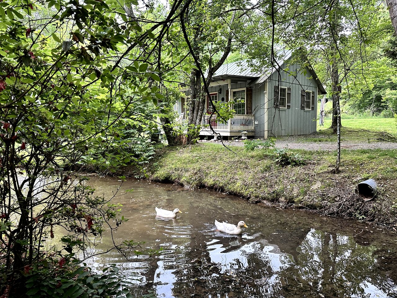 Cottages (United States of America, Blairsville, Georgia)
