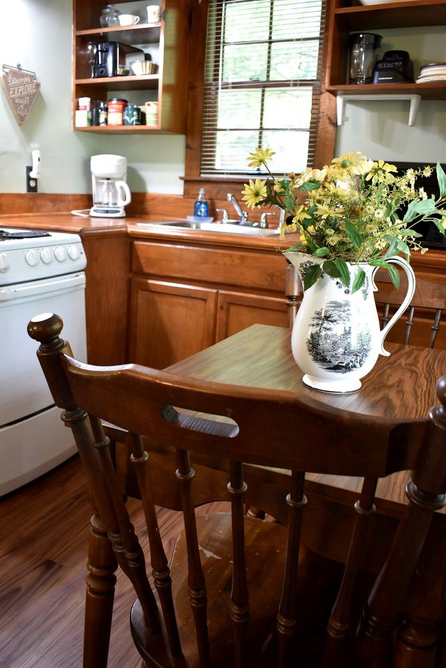 Charming and Secluded Cottage Overlooking a Woodland Pond, near Helen, Georgia