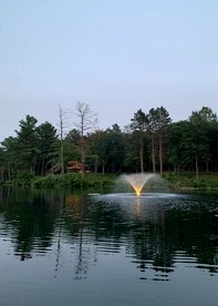 undefined photo 2
