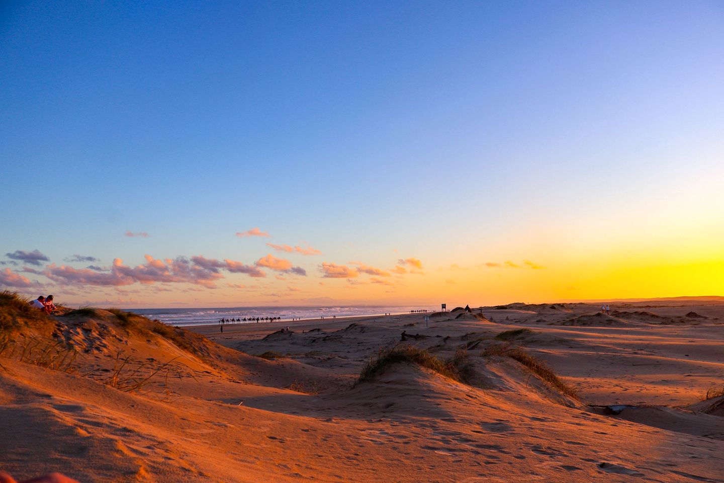 Charming Tiny House with Amazing Vineyard and Landscape Views in New South Wales, Australia