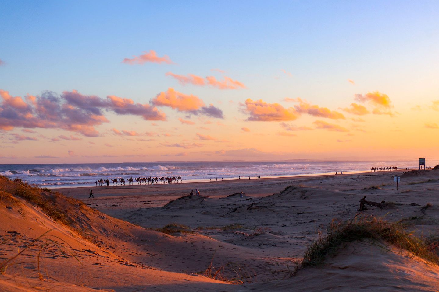 Charming Tiny House with Amazing Vineyard and Landscape Views in New South Wales, Australia