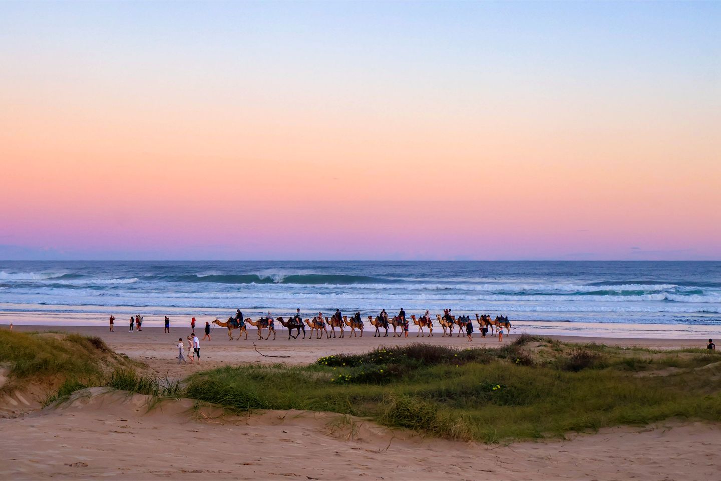Charming Tiny House with Amazing Vineyard and Landscape Views in New South Wales, Australia
