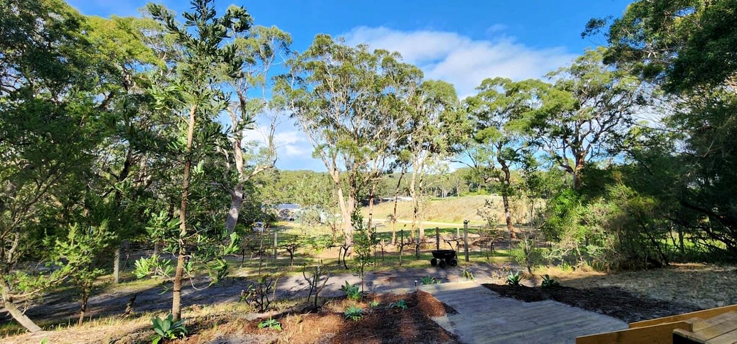 Charming Tiny House with Amazing Vineyard and Landscape Views in New South Wales, Australia