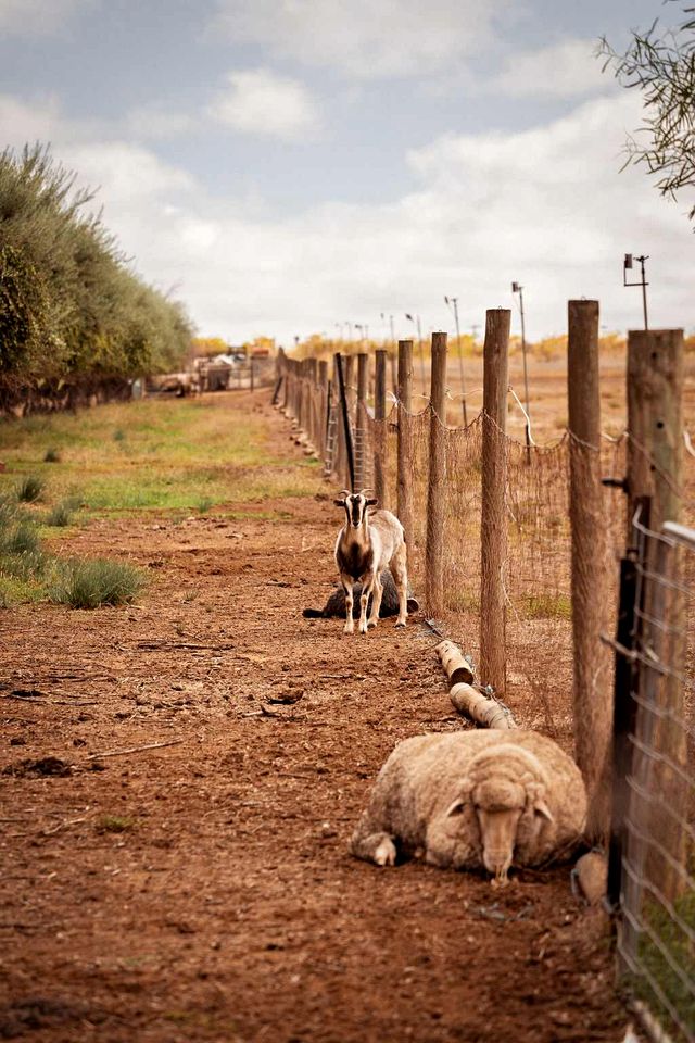Charming Tiny House with Fire Pit in Victoria