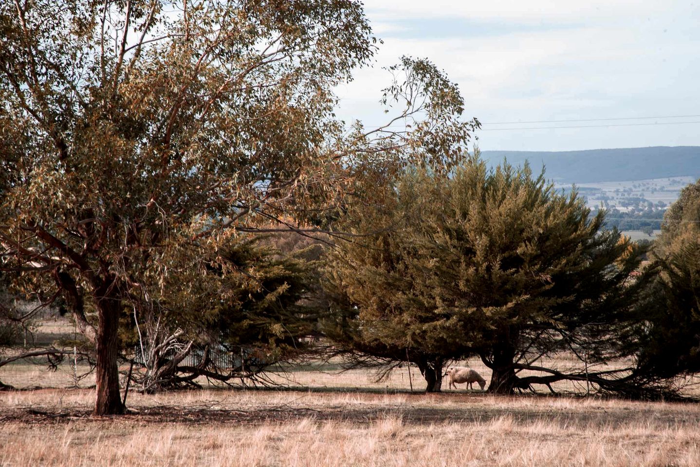 Charming Tiny House Overlooking the Table Top Mountains and Surrounded by Nature in Jindera, New South Wales