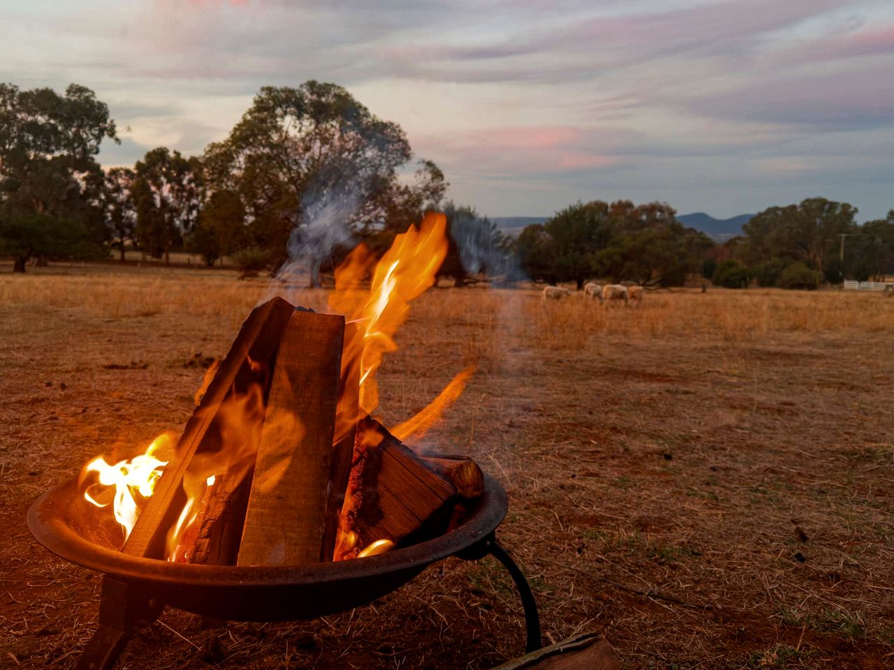 Charming Tiny House Overlooking the Table Top Mountains and Surrounded by Nature in Jindera, New South Wales