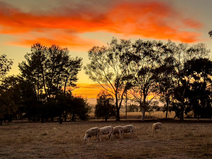 Tiny Houses (Australia, Jindera, New South Wales)