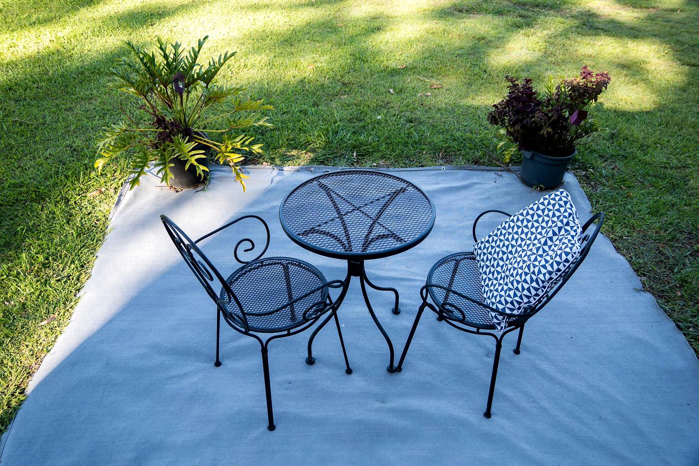 Charming Tiny House with Stunning Landscapes and Abundant Wildlife in Queensland, Australia