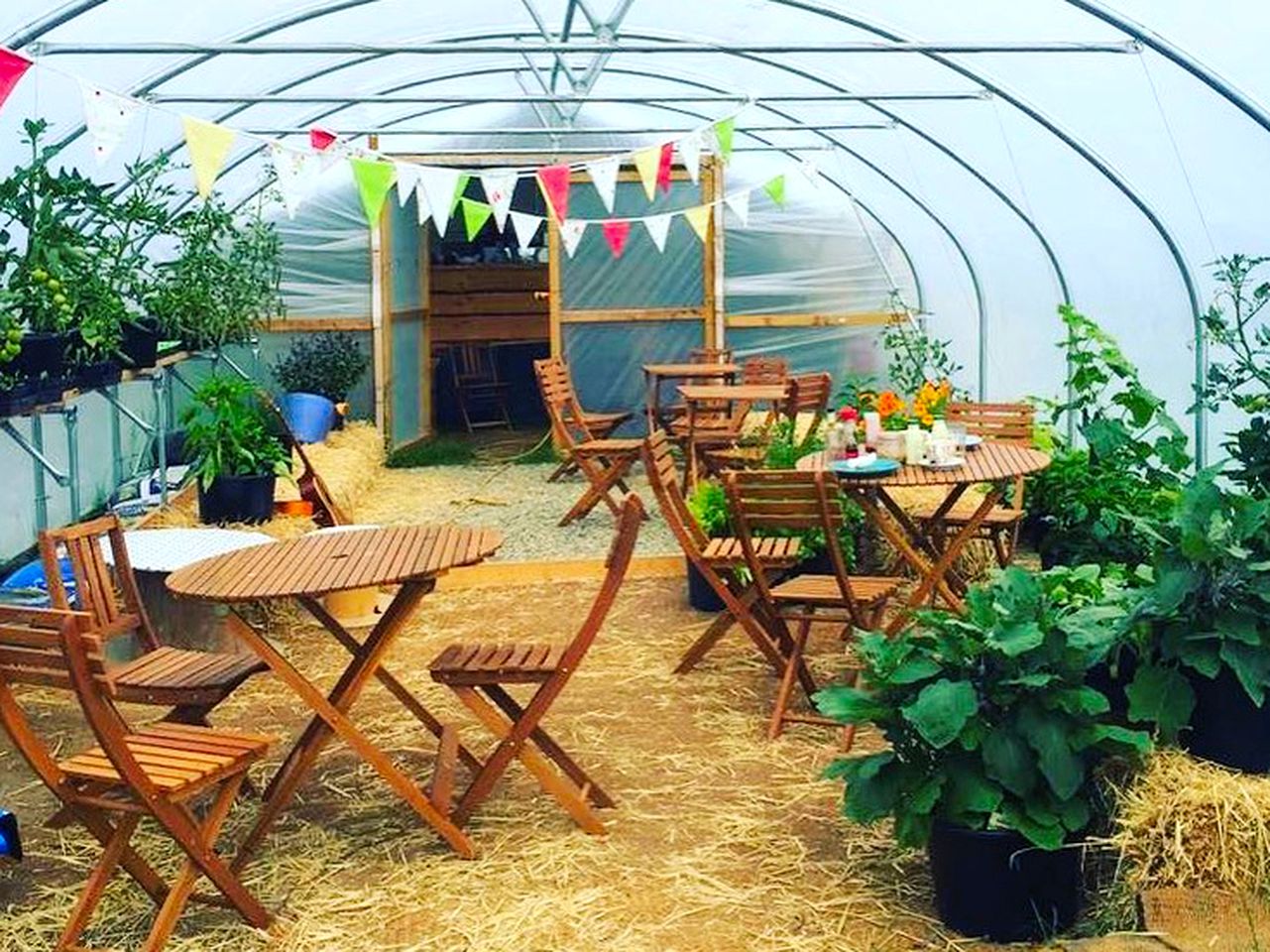 Charming Tipi Rental for Glamping in Cornwall, England