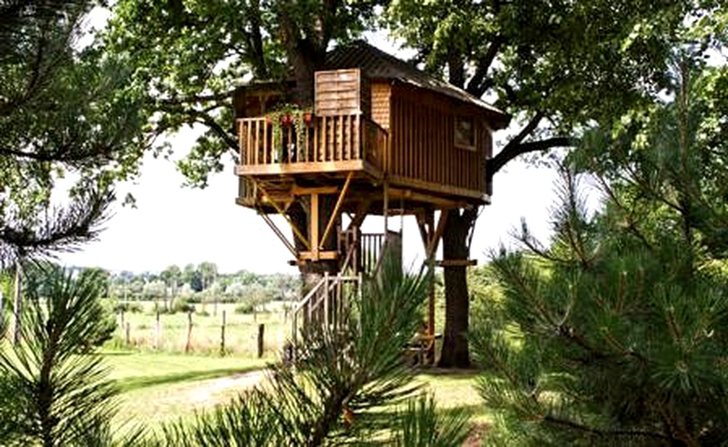 Charming Tree House In a Forest Under the Vosges Mountains in France