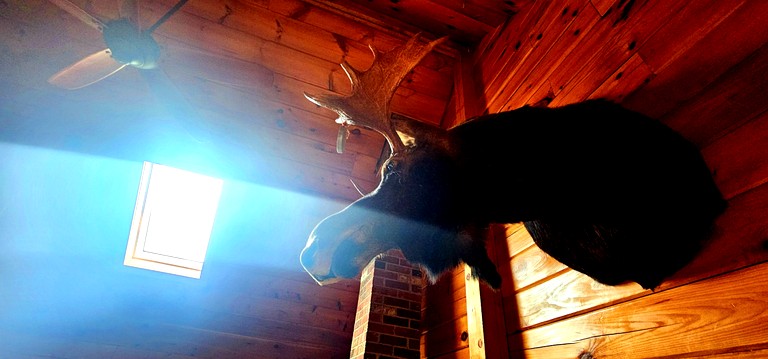 Cabins (United States of America, Rockwood, Maine)