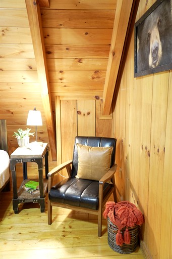 Cabins (United States of America, Sevierville, Tennessee)